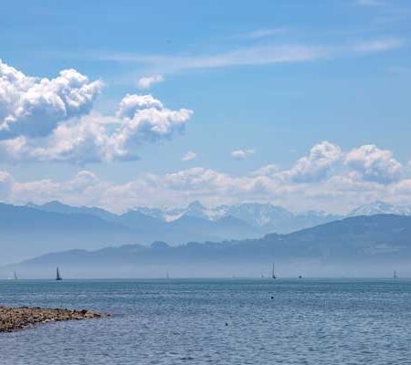 web-sailing-boats-on-the-lake-constance-germany-2022-06-14-19-06-13-utc